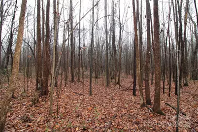 14.41+/-Ac Eaker Road #LOT P, Bessemer City, NC 28016 - Photo 2