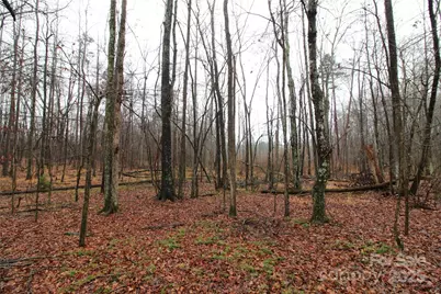 14.41+/-Ac Eaker Road #LOT P, Bessemer City, NC 28016 - Photo 4