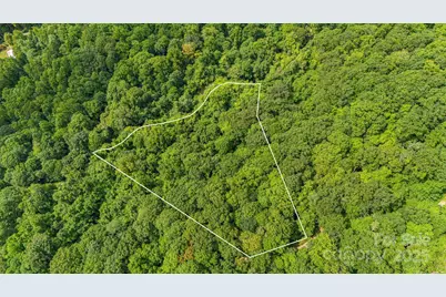 Lot 21 Cat Pen Branch Road, Hot Springs, NC 28743 - Photo 6