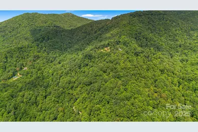 Lot 21 Cat Pen Branch Road, Hot Springs, NC 28743 - Photo 20