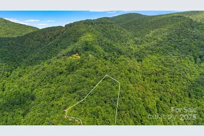 Lot 21 Cat Pen Branch Road, Hot Springs, NC 28743 - Photo 2