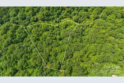 Lot 21 Cat Pen Branch Road, Hot Springs, NC 28743 - Photo 8