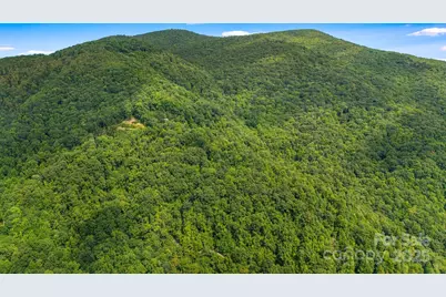 Lot 21 Cat Pen Branch Road, Hot Springs, NC 28743 - Photo 22