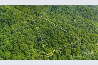 Lot 21 Cat Pen Branch Road, Hot Springs, NC 28743 - Photo 10