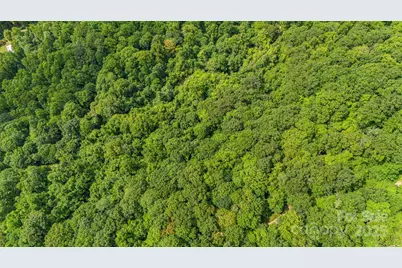 Lot 21 Cat Pen Branch Road, Hot Springs, NC 28743 - Photo 30