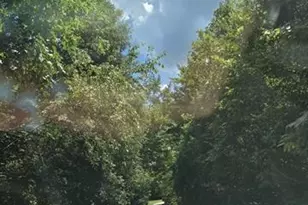 1044 Elliott Rd, Rutherfordton, NC 28139 - Photo 2