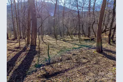 Lt 1,2,3 Caney Fork Road, Cullowhee, NC 28723 - Photo 34