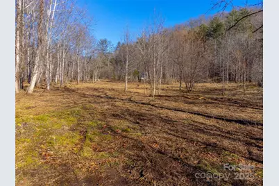 Lt 1,2,3 Caney Fork Road, Cullowhee, NC 28723 - Photo 10