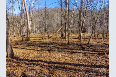 Lt 1,2,3 Caney Fork Road, Cullowhee, NC 28723 - Photo 30