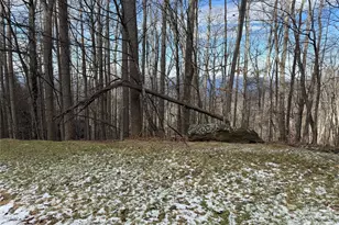 Lot 1 Sunset Point Rd, Burnsville, NC 28714 - Photo 4