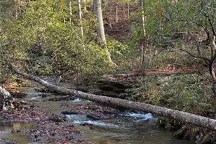 181 Song Sparrow Ct, Rutherfordton, NC 28139 - Photo 2