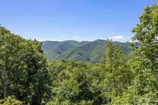 1392 Mt Chalet Rd, Canton, NC 28716 - Photo 6