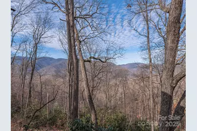 1392 Mount Chalet Road, Canton, NC 28716 - Photo 4