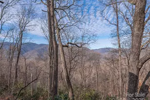 1392 Mt Chalet Rd, Canton, NC 28716 - Photo 4