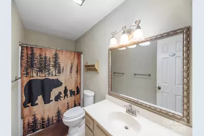 1392 Mount Chalet Road, Canton, NC 28716 - Photo 16