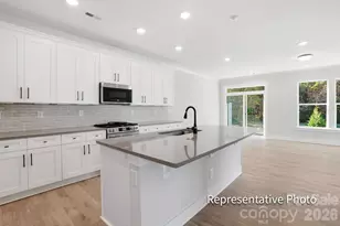 4333 Black Ct, Harrisburg, NC 28075 - Photo 2