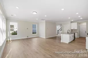 4333 Black Ct, Harrisburg, NC 28075 - Photo 10