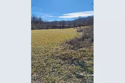 40 Georges Branch Road, Candler, NC 28715 - Photo 4