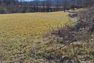 40 Georges Branch Rd, Candler, NC 28715 - Photo 4