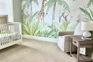 1127 Black Beauty Trail, Rockwell, NC 28138 - Photo 12