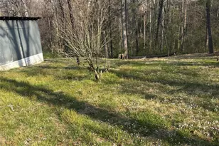 67 Shawnee Trail, Asheville, NC 28805 - Photo 12