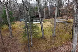 67 Shawnee Trail, Asheville, NC 28805 - Photo 1