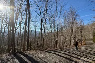 22 23 28 Brer Rabbit Trail, Waynesville, NC 28785 - Photo 1