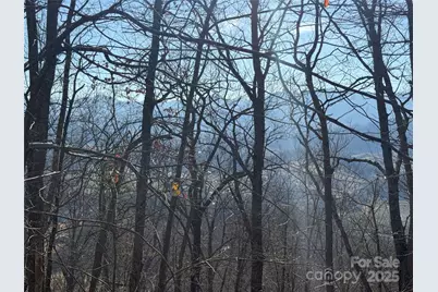 22,23,28 Brer Rabbit Trail, Waynesville, NC 28785 - Photo 16