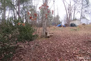 19 Westminster Dr, Asheville, NC 28804 - Photo 34