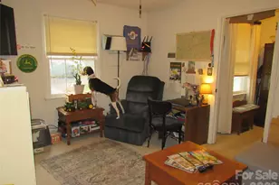 19 Westminster Dr, Asheville, NC 28804 - Photo 20