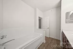 17113 Doe Valley Ct, Cornelius, NC 28031 - Photo 22