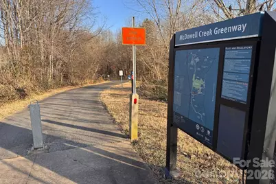 17113 Doe Valley Court, Cornelius, NC 28031 - Photo 32