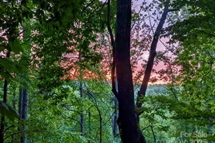 2828 E Pine St, Mount Airy, NC 27030 - Photo 6