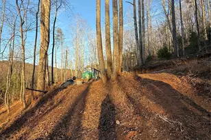 2828 E Pine St, Mount Airy, NC 27030 - Photo 32