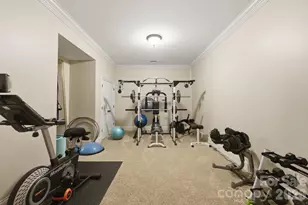 7608 Webbs Chapel Cove Ct, Denver, NC 28037 - Photo 34