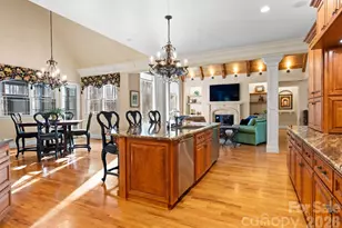 7608 Webbs Chapel Cove Ct, Denver, NC 28037 - Photo 14