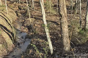 926 Cross Creek Dr, Rutherfordton, NC 28139 - Photo 32