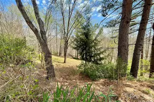 926 Cross Creek Dr, Rutherfordton, NC 28139 - Photo 36