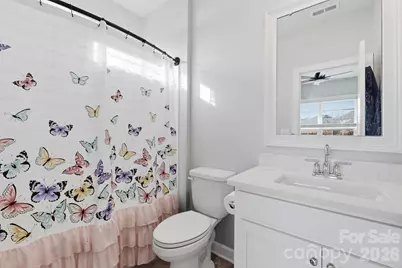 3911 Horsham Street, Fort Mill, SC 29707 - Photo 22