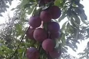 3391 Asbury Rd, Mount Airy, NC 27030 - Photo 28