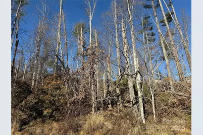 Tbd George McKinney Circle, Spruce Pine, NC 28777 - Photo 6
