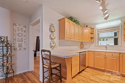 31 Bage Street, Waynesville, NC 28786 - Photo 10