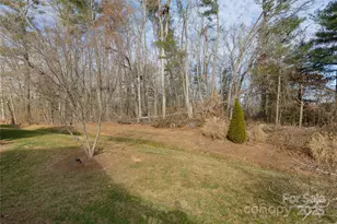 100 Creeks End Cir, Mills River, NC 28759 - Photo 30