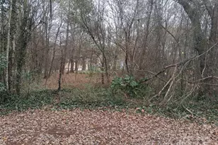 111 Parmer St, Forest City, NC 28043 - Photo 6