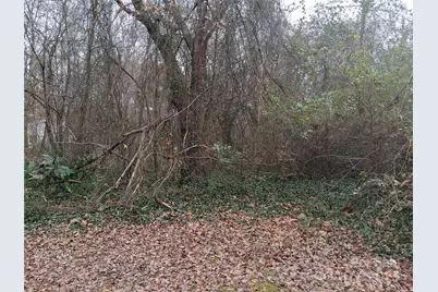 111 Parmer Street, Forest City, NC 28043 - Photo 4