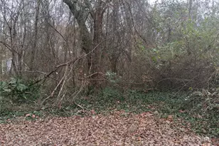 111 Parmer St, Forest City, NC 28043 - Photo 4