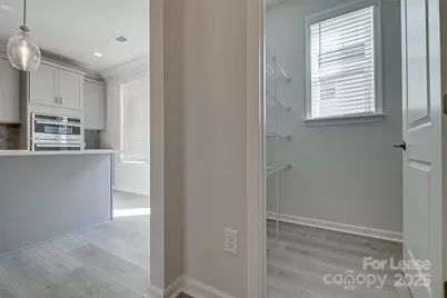 6027 Towering Oaks Drive, Charlotte, NC 28205 - Photo 26