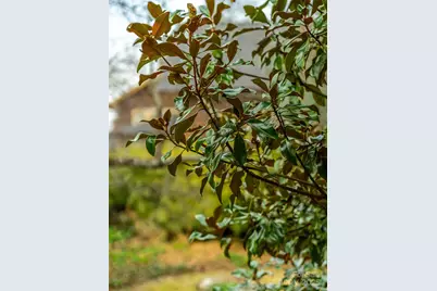 12 Bearden Avenue, Asheville, NC 28801 - Photo 40