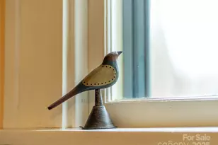 12 Bearden Ave, Asheville, NC 28801 - Photo 16