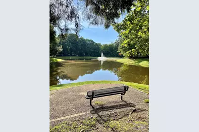 3214 Blackburn Drive, Waxhaw, NC 28173 - Photo 48